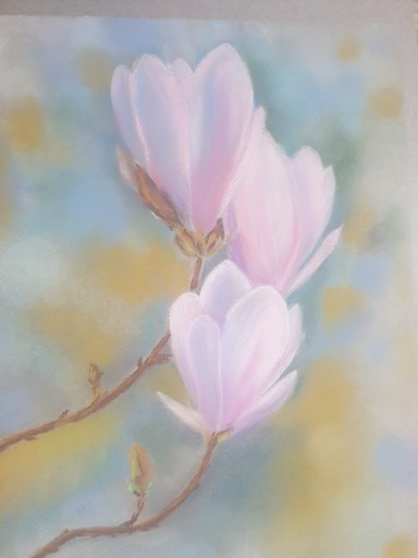 Zdjęcie oferty: Magnolia ,pastele, 