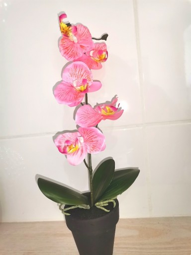 Zdjęcie oferty: Storczyk, Orchidea różowy stuczny 35 cm, Nowy