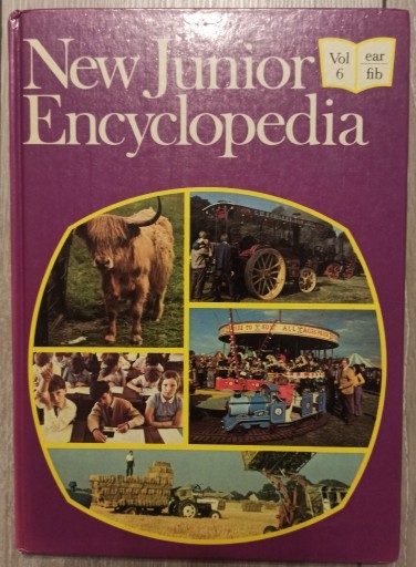 Zdjęcie oferty: New Junior Encyklopedia 