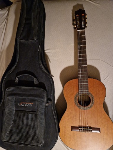 Zdjęcie oferty: Gitara klasyczna Martinez MC-35C, pokrowiec Canto