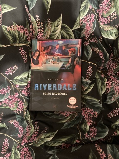Zdjęcie oferty: Książka Riverdale „Dzień wcześniej”