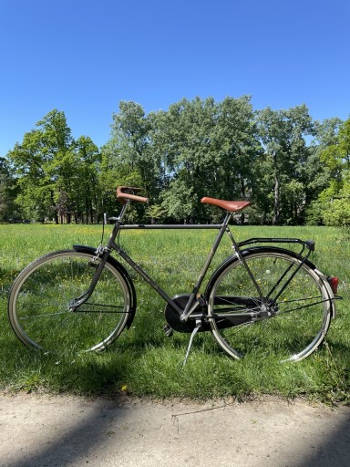 Zdjęcie oferty: Rower miejski Amsterdam, rama 59 cm