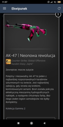 Zdjęcie oferty: Skin Cs:Go Ak-47 Neon Revolution WW