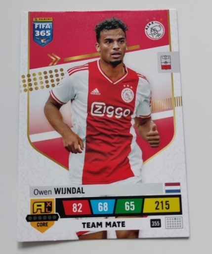 Zdjęcie oferty: FIFA 365 PANINI - OWEN WIJNDAL 355