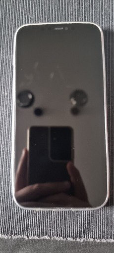 Zdjęcie oferty: Iphone 12 Pro Max