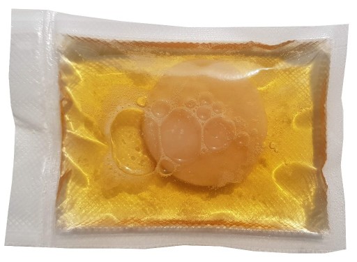 Zdjęcie oferty: Grzyb herbaciany | kombucha 6 cm | ulotka, starter