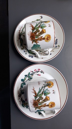 Zdjęcie oferty: filiżanki kubeczki Villeroy&Boch vintage botanika