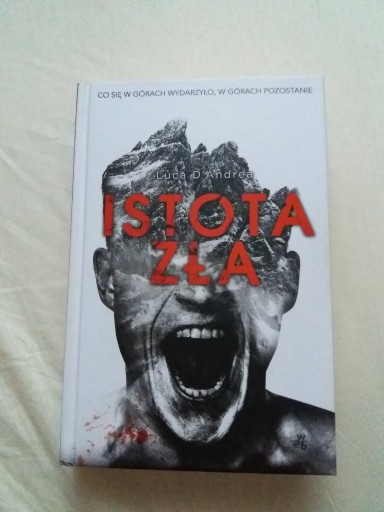 Zdjęcie oferty: Istota Zła Luca D'Andrea thriller bdb