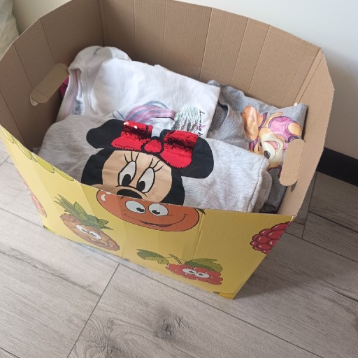 Zdjęcie oferty: Karton ubranek dla dziewczynki 104/110/116