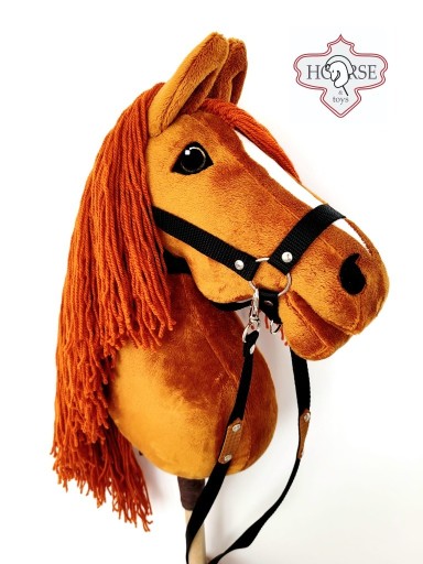 Zdjęcie oferty: Hobby Horse  Teqiia Duży A3 (Koń na patyku)