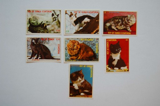Zdjęcie oferty: Gwinea Równikowa Sw 1601-07** domowe koty