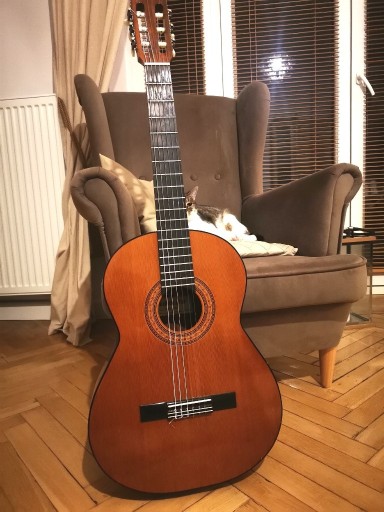 Zdjęcie oferty: Gitara klasyczna dla początkujących z pokrowcem