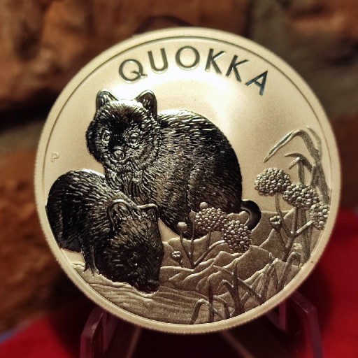 Zdjęcie oferty: Srebrna moneta QUOKKA 2022 - 1oz Perth Mint 