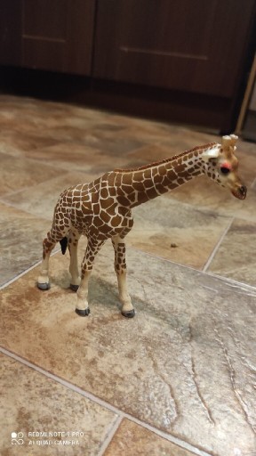 Zdjęcie oferty: Schleich zwierzęta