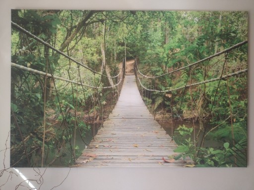 Zdjęcie oferty: Obraz na płótnie Tajlandia most las 120x80