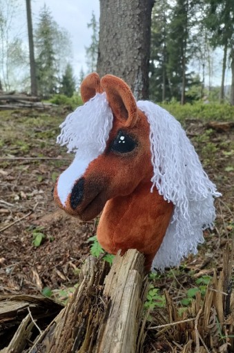 Zdjęcie oferty: Hobby horse Konik AZS Cute Choco od Kht AZAS 