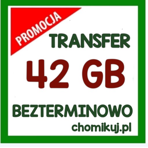 Zdjęcie oferty: Bezterminowy transfer na chomikuj 42 GB  bez limitu czasu...