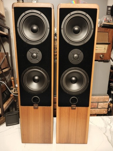 Zdjęcie oferty: CANTON ERGO 80 ! Kultowe kolumny w znakomitym stanie ! TOP