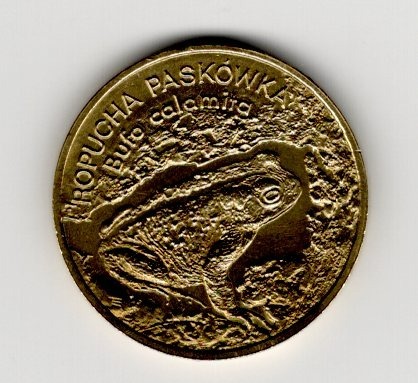 Zdjęcie oferty: Ropucha Paskówka 2 zł z 1998