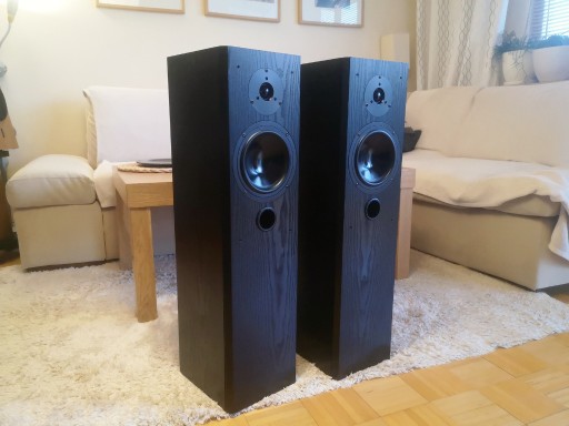 Zdjęcie oferty: YAMAHYA NS G100 MKII