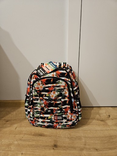Zdjęcie oferty: Plecak szkolny z usztywnianymi plecami 