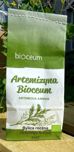 Zdjęcie oferty: Bylica roczna (Artemisia annua) Artemizyna, EKO 