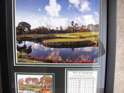 Zdjęcie oferty: Piękny Kolaż Certyfikowany TPC AT SAWGRASS USA 