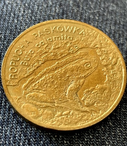Zdjęcie oferty: Moneta 2 zł - Ropucha paskówka, kolekcje, III RP