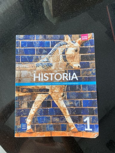 Zdjęcie oferty: Historia 1