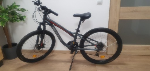 Zdjęcie oferty: Rower ROMET FIT 24 MTB