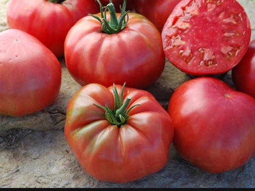 Zdjęcie oferty: Ekologiczne sadzonki pomidor ożarowski i galera 