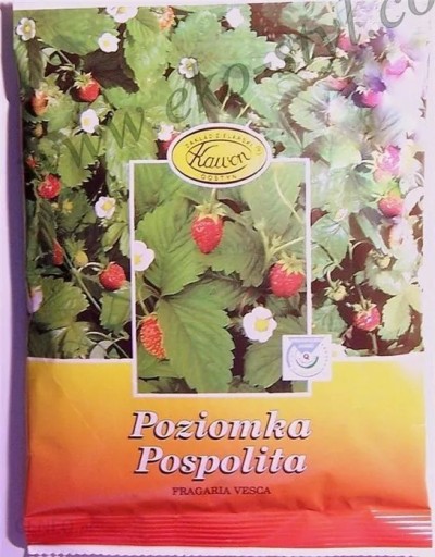 Zdjęcie oferty: POzIOMKA POSPOLITA Liść 25g. Kawon