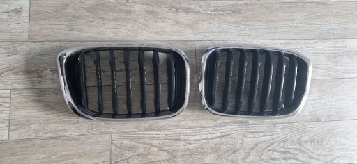 Zdjęcie oferty: Nerki oryginalne OE BMW x3 G01