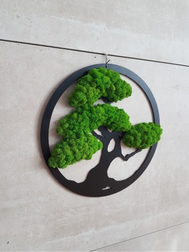 Zdjęcie oferty: Drzewko bonsai czarne z mchu chrobotka 38 cm 