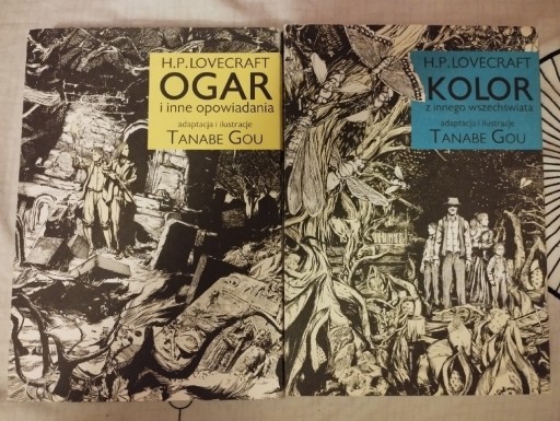 Zdjęcie oferty: Ogar i kolor z innego wszechświata Tanabe Gou