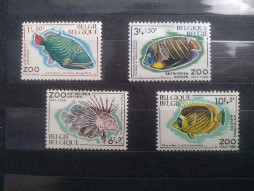 Zdjęcie oferty: Znaczki Belgia 1968 fauna ryby