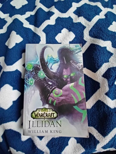 Zdjęcie oferty: World of Warcraft Illidan