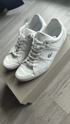 Zdjęcie oferty: Buty męskie Lacoste rozm. 43