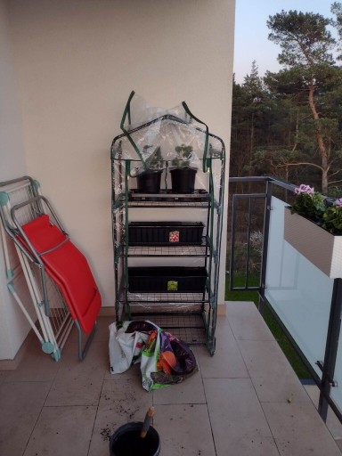 Zdjęcie oferty: Szklarnia folia na balkon