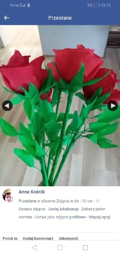 Zdjęcie oferty: Kwiaty z krepiny,, Rękodzieło,, Bzy 