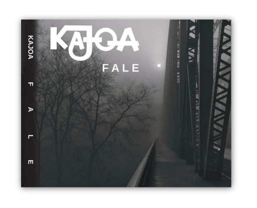 Zdjęcie oferty: Płyta zespołu KAJOA