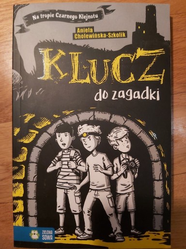 Zdjęcie oferty: Klucz do zagadki, Aniela Cholewińska-Szkolik