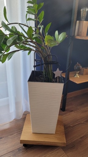 Zdjęcie oferty: Podstawa mobilna pod doniczkę na kółkach z drewna dębowego.