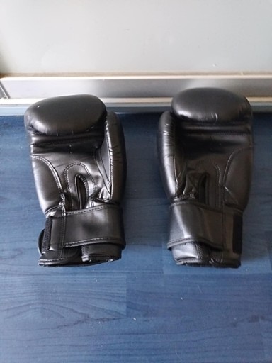 Zdjęcie oferty: Rękawice bokserskie 14 oz