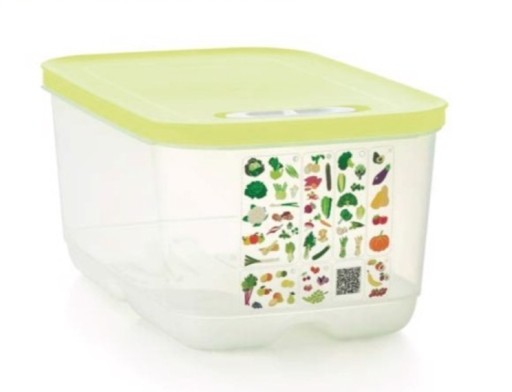 Zdjęcie oferty: Ventsmart 4.4l tupperware nowy kolor