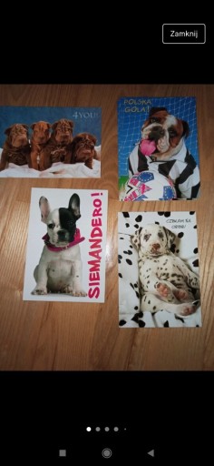 Zdjęcie oferty: Zestaw pocztówek z psami vintage pies Bulldog 