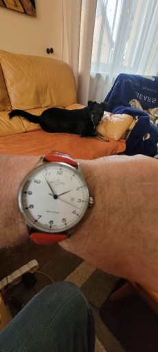 Zdjęcie oferty: zegarek  Davosa 