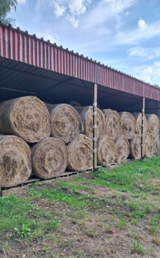 Zdjęcie oferty: Siano z pierwszego pokosu 120x120