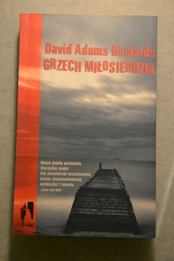 Zdjęcie oferty: Grzech miłosierdzia - David Adams Richards