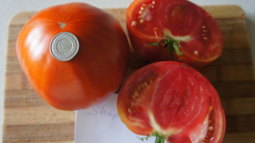 Zdjęcie oferty: Pomidor Shapka Monomakha-sadzonka
